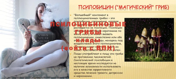мет Алзамай